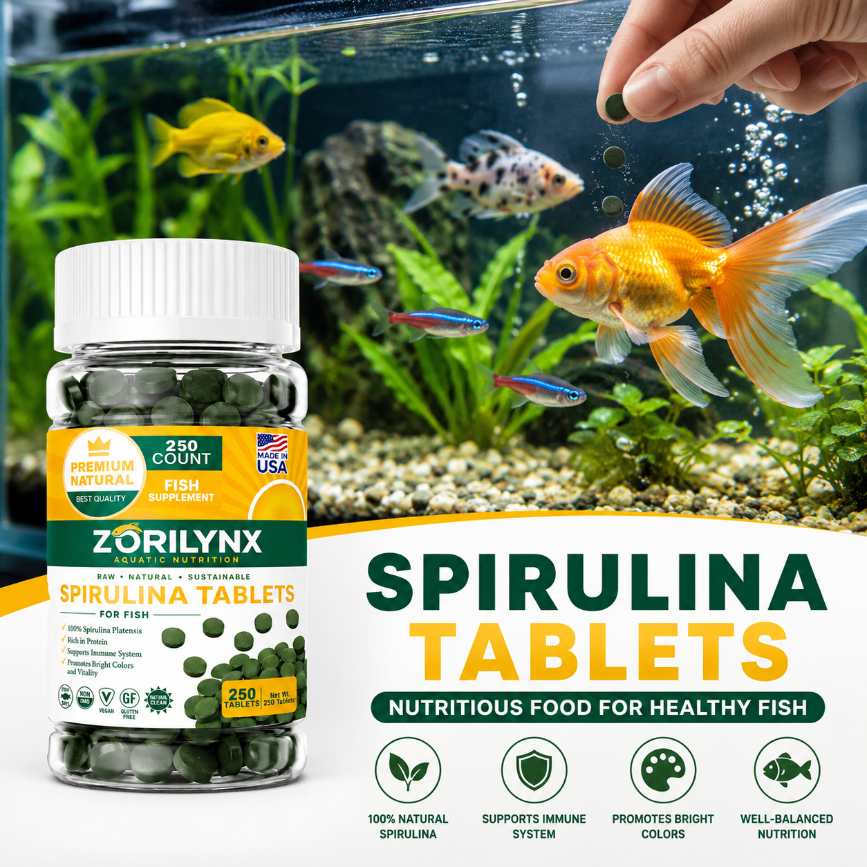 1250pcs High Purity Spirulina  - đánh giá và giá Spirulina Tablet Organic