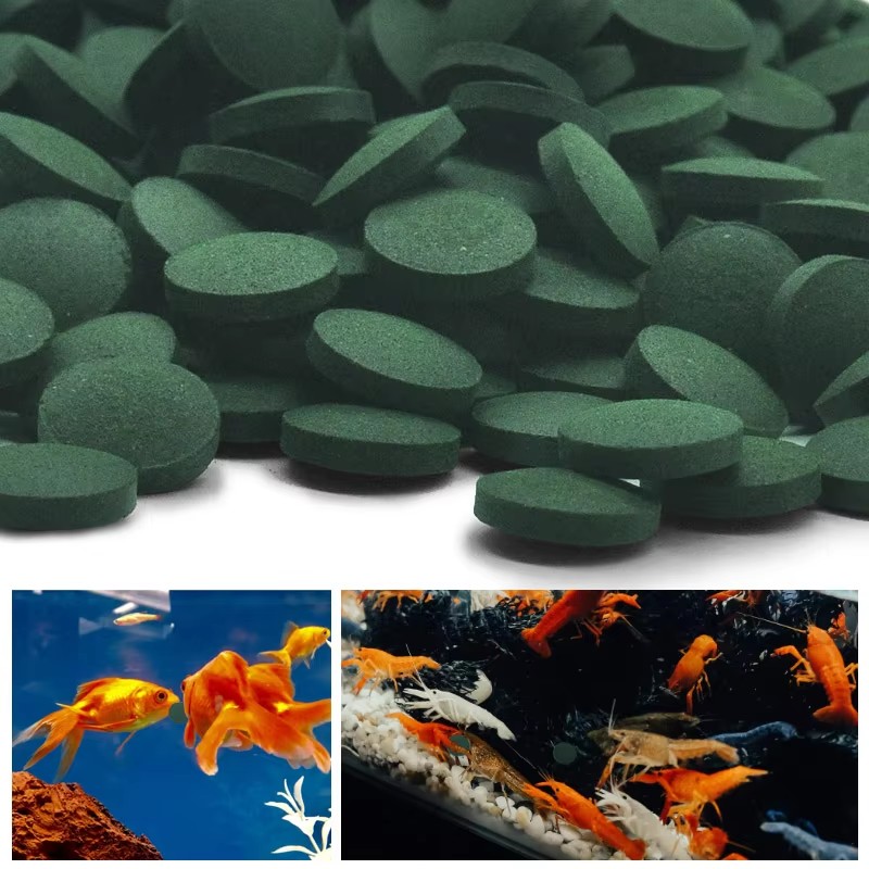 500/1000pcs High Purity Spirul - đánh giá và giá Spirulina Tablet Organic