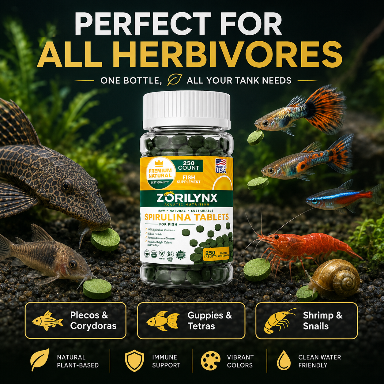 High Purity Spirulina Tablets  - đánh giá và giá Spirulina Tablet Organic